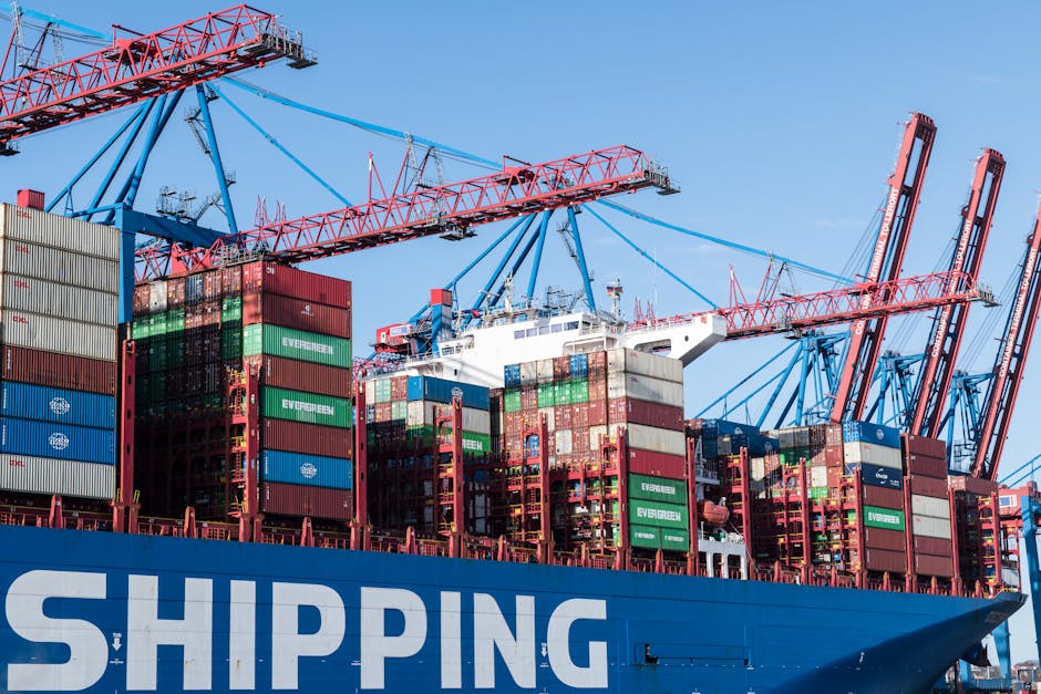 docker container homelab dashboard comparison interface screenshot