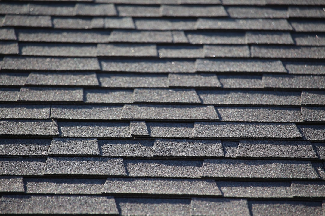 roofing shingles close-up, roof replacement contractor