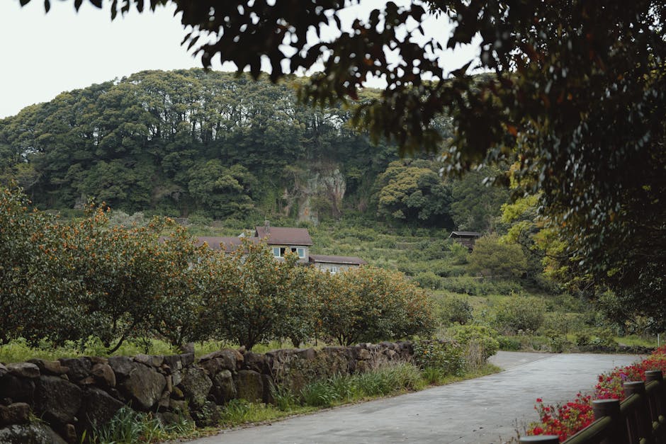 Jeju crowded tourist spot vs quiet road, Jeju local village morning