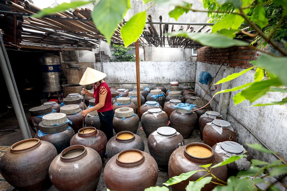 homemade makgeolli brewing, traditional Korean rice wine fermentation