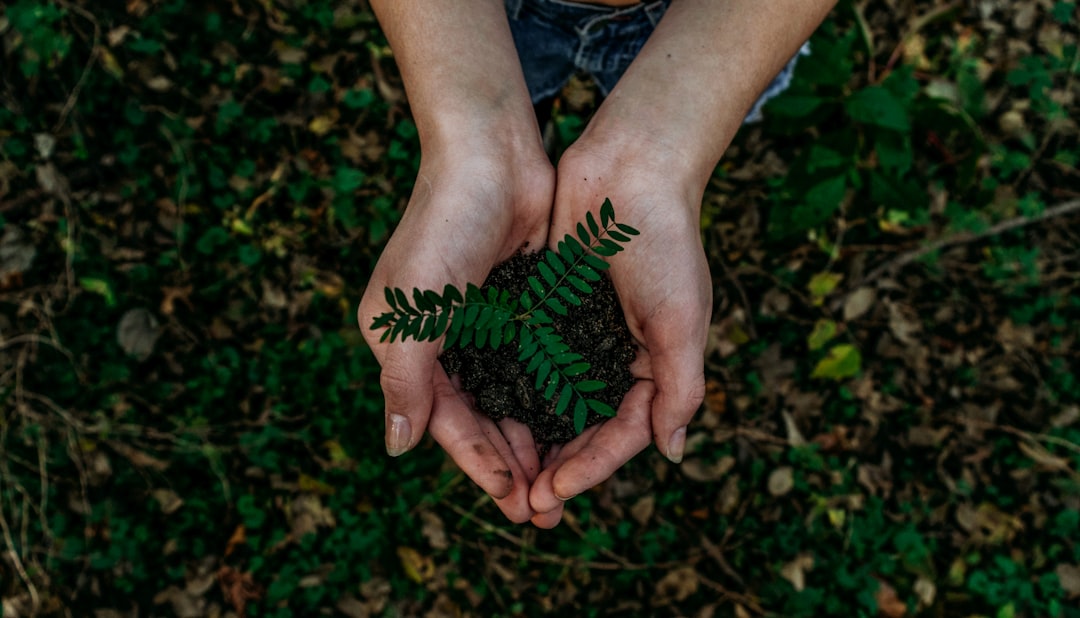 sustainable living practical habits, plant-based diet carbon footprint